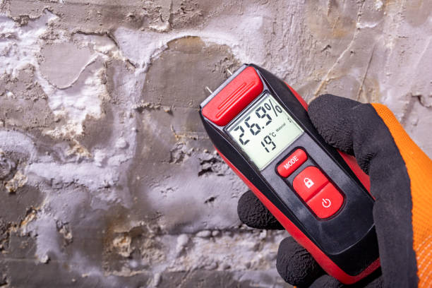 Best Professional Mold Removal  in Nd Point, WI